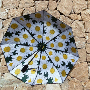 HAPPYSWEED  - Daisy umbrella Windproof & UPF50