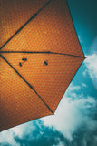 HAPPY SWEEDS  - Honey Umbrella – Windproof & UPF50+ Protection